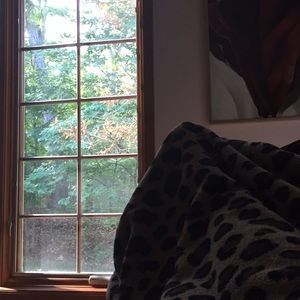 Meet your Posher, Isabella